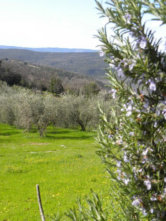 Agriristoro Podere S. Andrea Масса-Мариттіма Екстер'єр фото