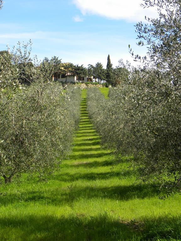 Agriristoro Podere S. Andrea Масса-Мариттіма Екстер'єр фото