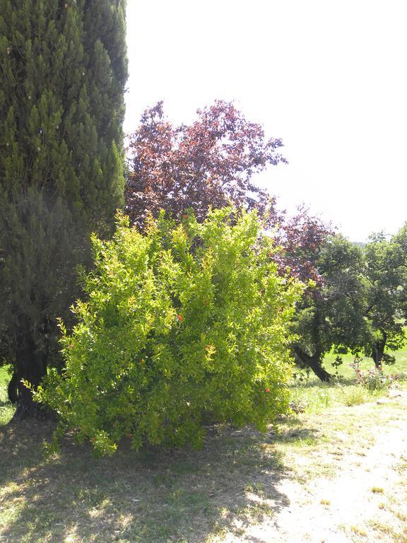 Agriristoro Podere S. Andrea Масса-Мариттіма Екстер'єр фото