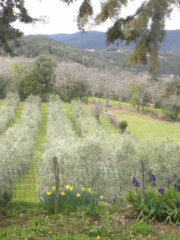 Agriristoro Podere S. Andrea Масса-Мариттіма Екстер'єр фото