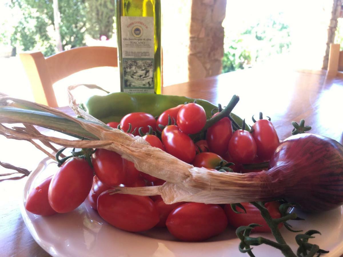 Agriristoro Podere S. Andrea Масса-Мариттіма Екстер'єр фото