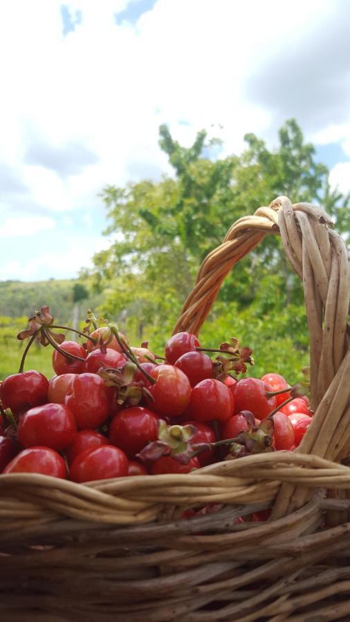 Agriristoro Podere S. Andrea Масса-Мариттіма Екстер'єр фото